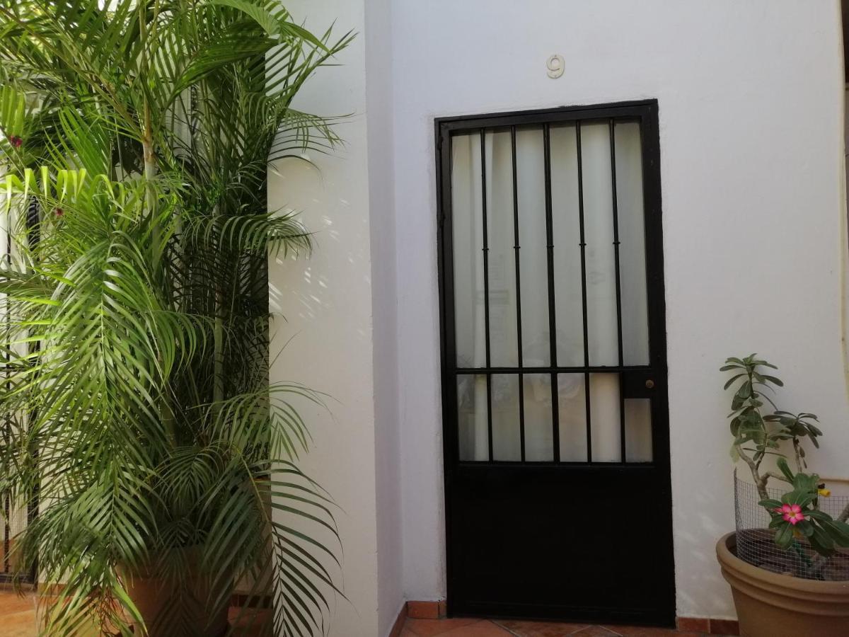 Casa Adriana プエルトバラータ エクステリア 写真